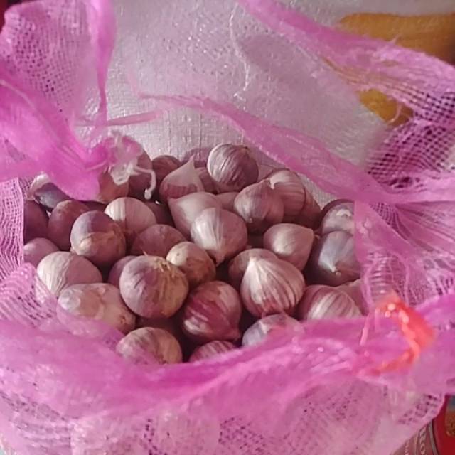 

Bawang Tunggal 500 Gram