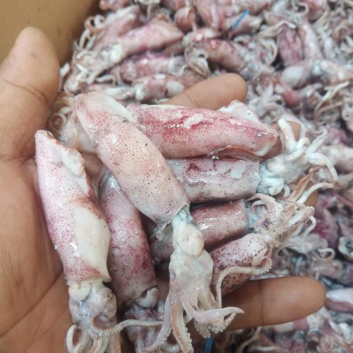 

[COD] Cumi asin 500gr/cumi asin rebus/ikan asin cumi [COD]