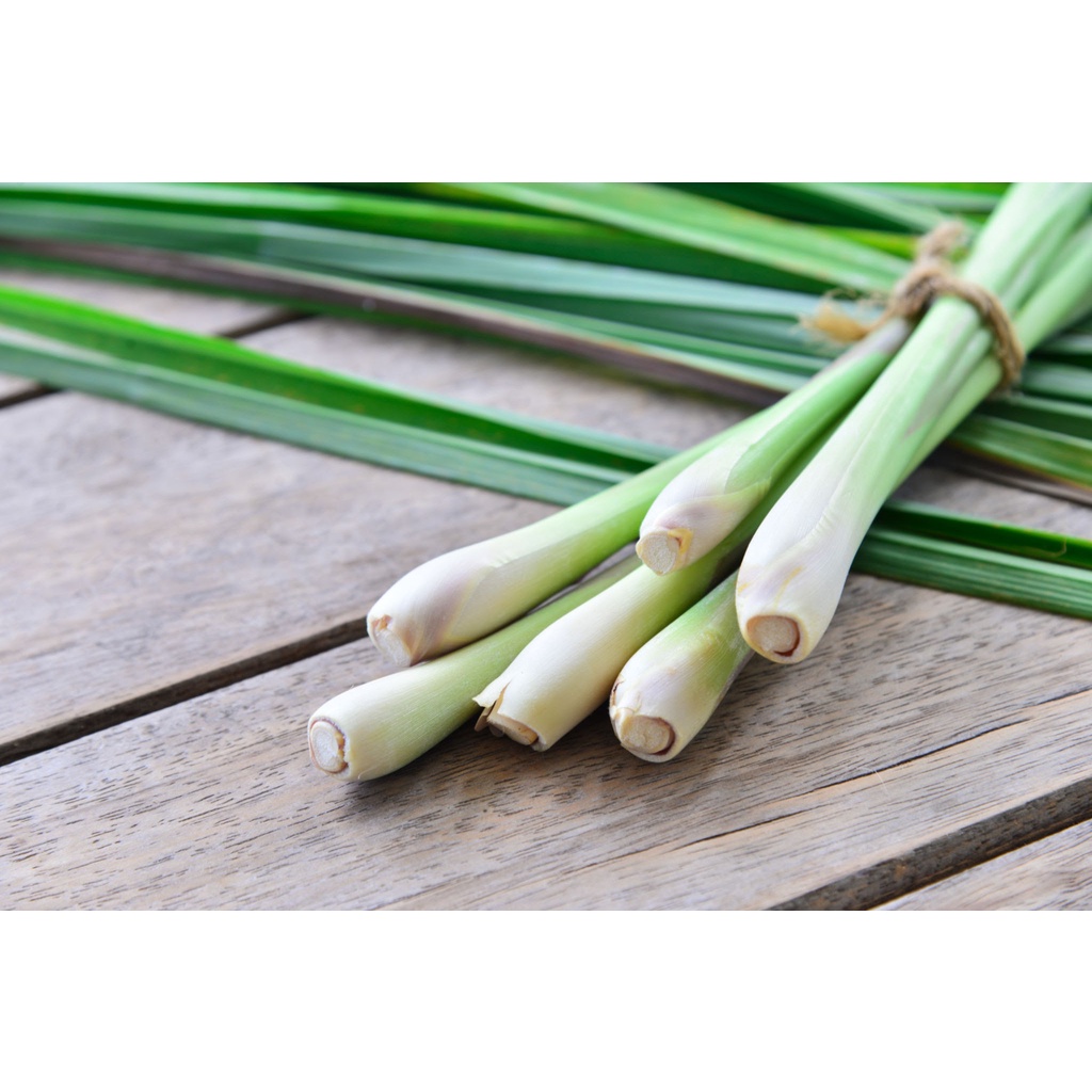 

Serai ( lemongrass )