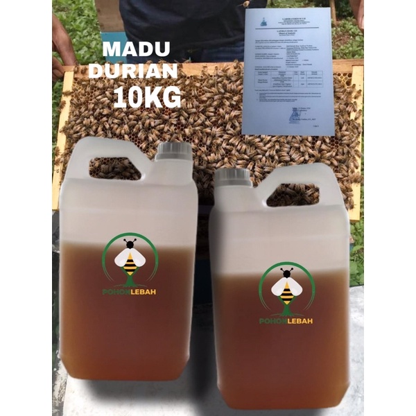 

madu asli bunga durian 10 kg MADU