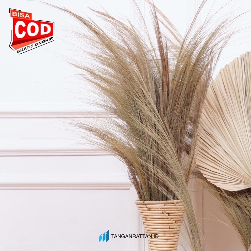 RAYUNG PAMPAS BUNGA KERING NATURAL DEKORASI RUSTIC HOME DECOR