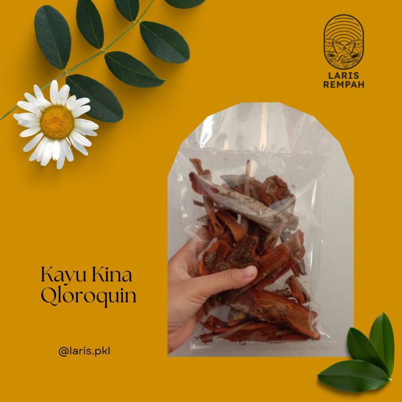 

Laris Rempah Kayu Kina. Kulit Kayu Kina. Klorokuin. Kloroquine.