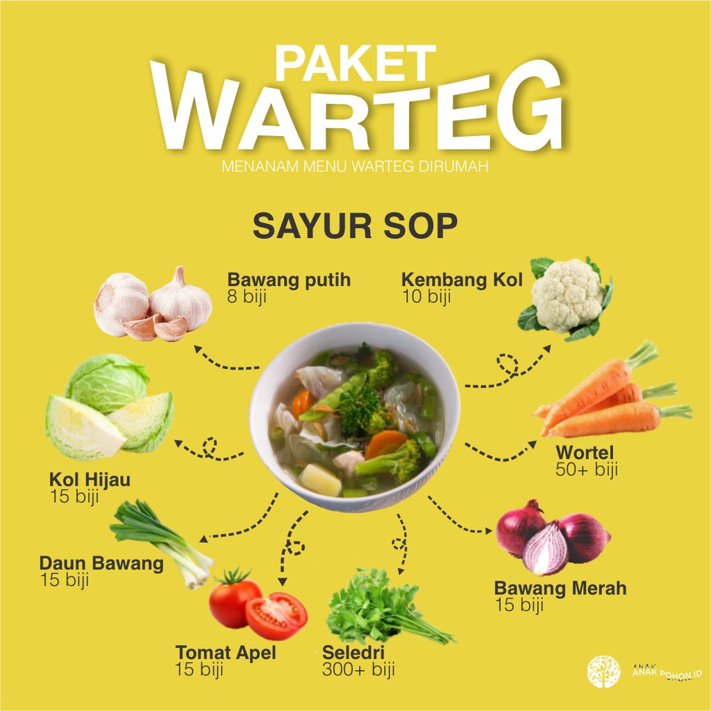 PAKET WARTEG - Benih untuk Sayur Sop - Menanam Benih Menu Warteg di Rumah by Anak Pohon