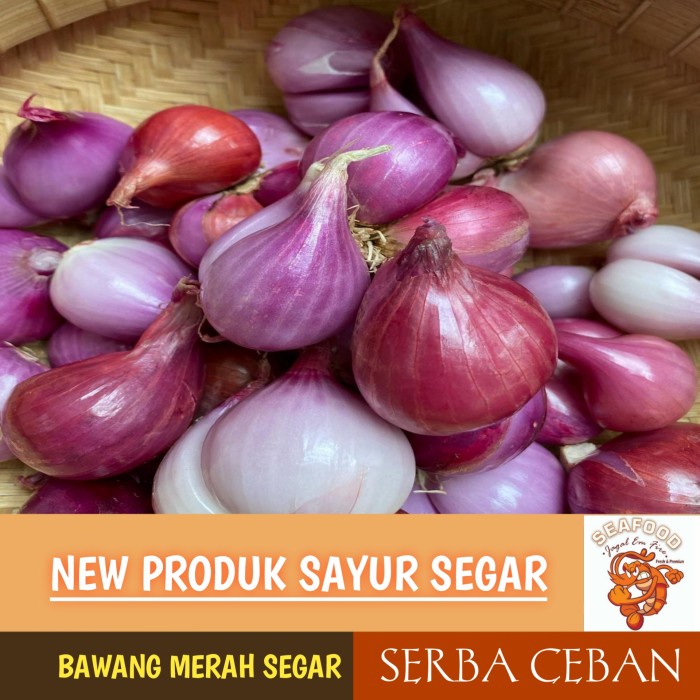 

PROMO BAWANG MERAH SEGAR SERBA CEBAN
