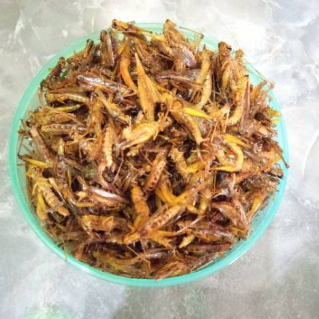 

Belalang Goreng Kecil 160 Gram