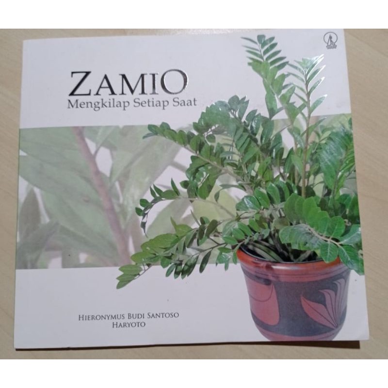ZAMIO MENGKILAP SETIAP SAAT , TANAMAN HIAS, HOBI TANAMAN RUMAH