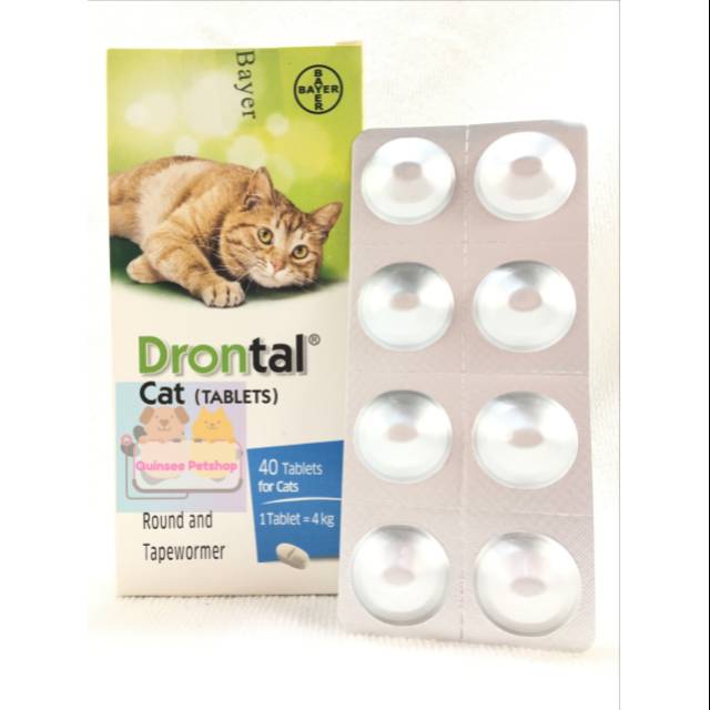 Drontal Cat 1 box (40tablet)