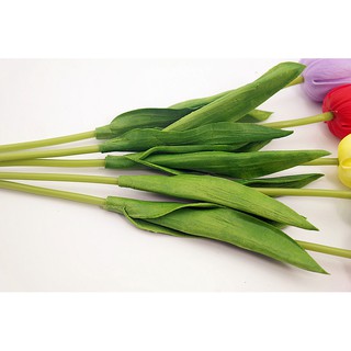 Naindo Bunga Tulip Latex PREMIUM hiasan runag tamu dan Naindo Bunga Tulip Latex PREMIUM hiasan runag tamu dan