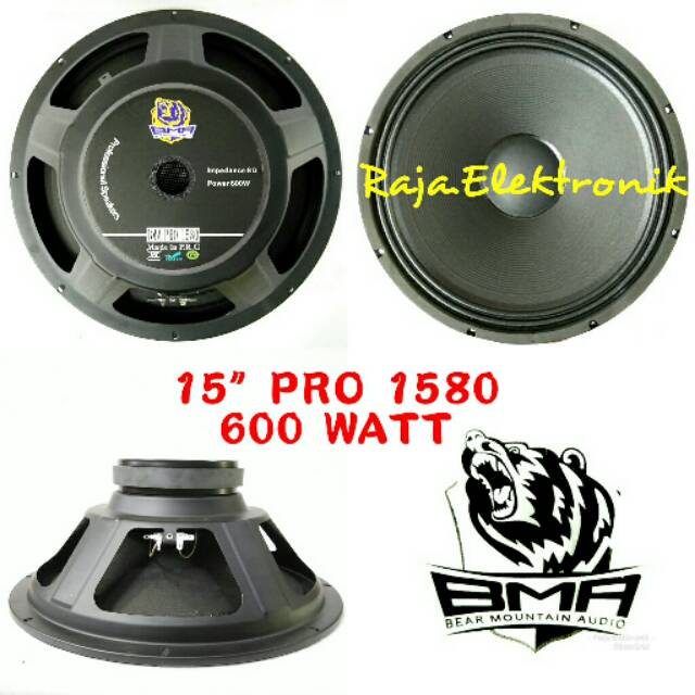 p audio 15 inch 600 watt