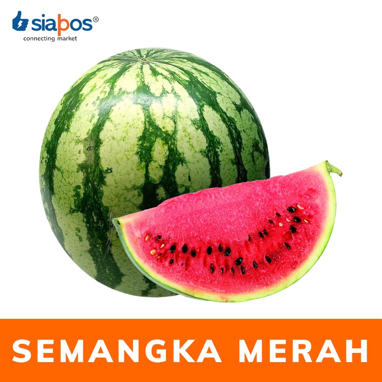 

Semangka Merah segar / semangka merah murah