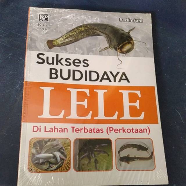 Sukses budidaya lele