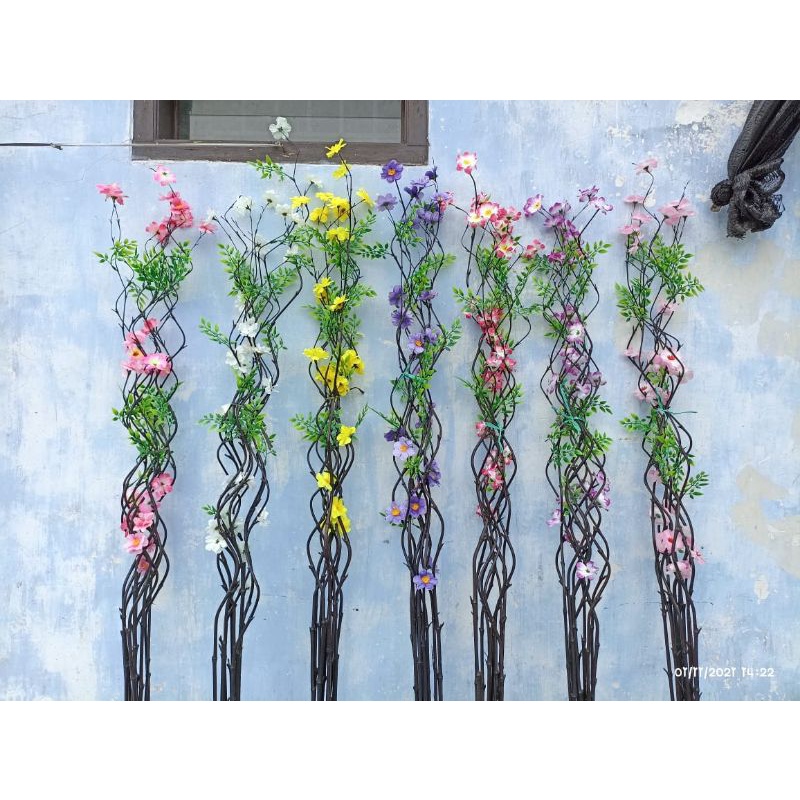 Bambu inul/ BAMBU ULIR / Bambu Ulir Anyelir / Bambu Inul Hitam / Bambu Hias