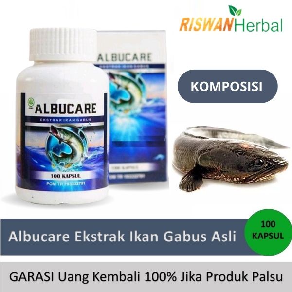 Albucare Obat Luka Bakar Kenalpot Bernanah Luka Operasi Caesar Cepat Kering Isi 100 Kapsul Ikan Gabus BPOM Original