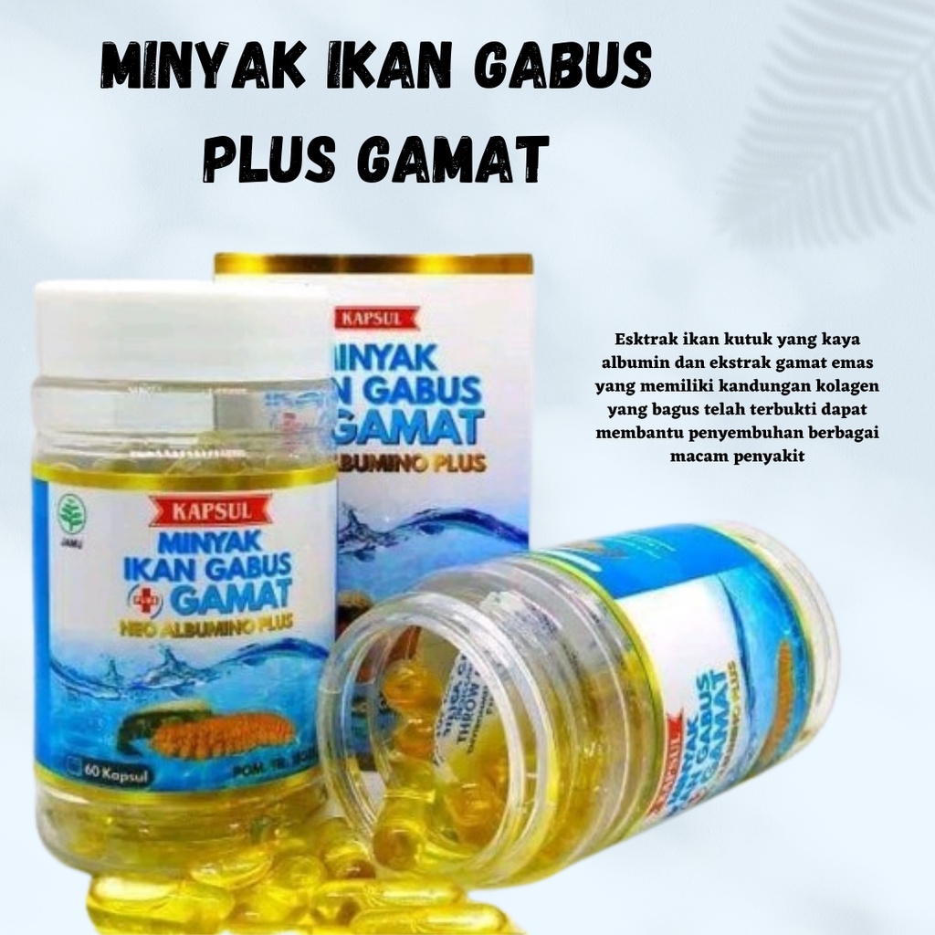 TERLARIS!!! Minyak Ikan Gabus Plus Gamat 60 kapsul Neo Albumino Plus Gamat Emas