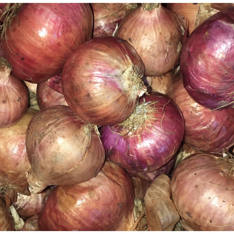 

Bawang Peking/Bawang india 500gr/1Kg/2Kg