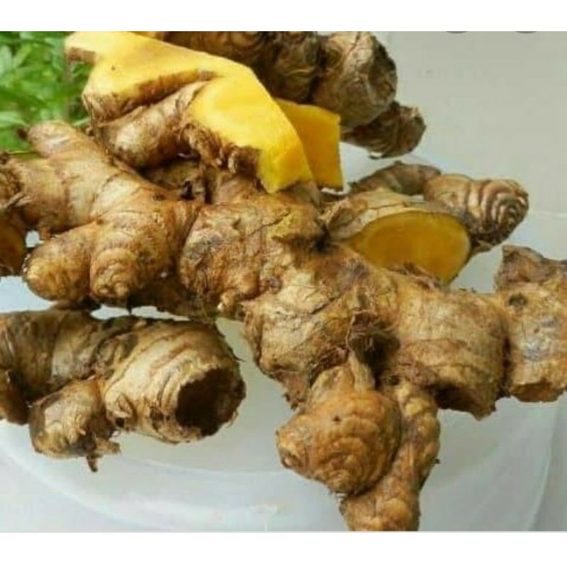 

BENGLE / BANGLE / PANGLAI SEGAR 1 KG