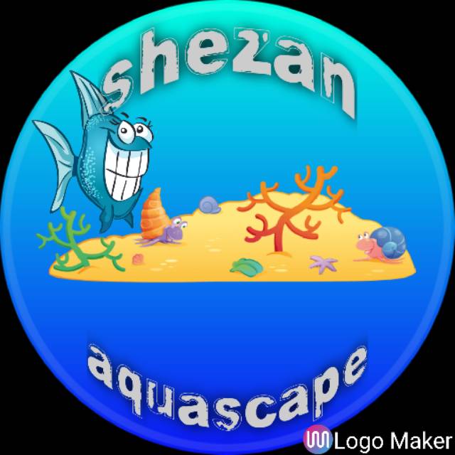 shezanshakilaazzahra