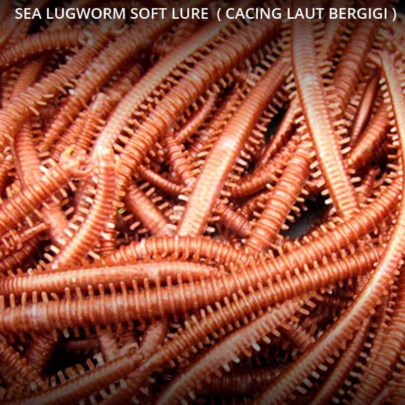 Soft Lure Umpan Cacing Laut  Sea Lugworm Softlure Mancing 