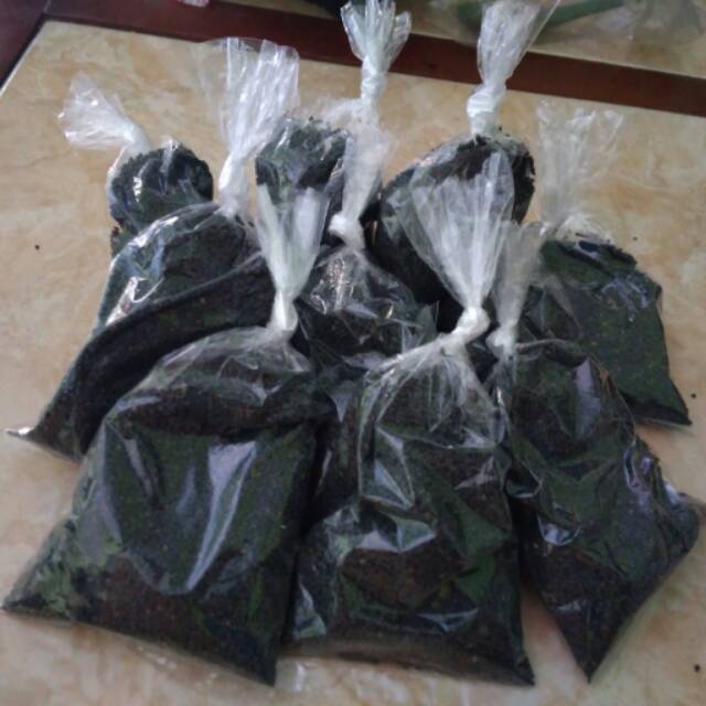 

Biji Jinten hitam 100 Gram