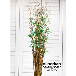 Satu Batang Bambu Ulir Cordelia min 10 btg bisa mix Satu Batang Bambu Ulir Cordelia min 10 btg bisa mix