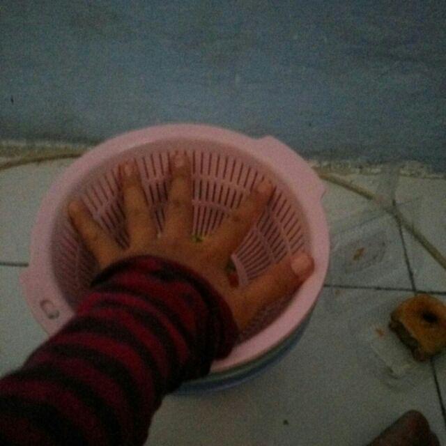 Yoshikawa Baskom Sayur Bulat Dengan Tirisan Diameter 21 Cm Isi 3 Set B082 Warna Random