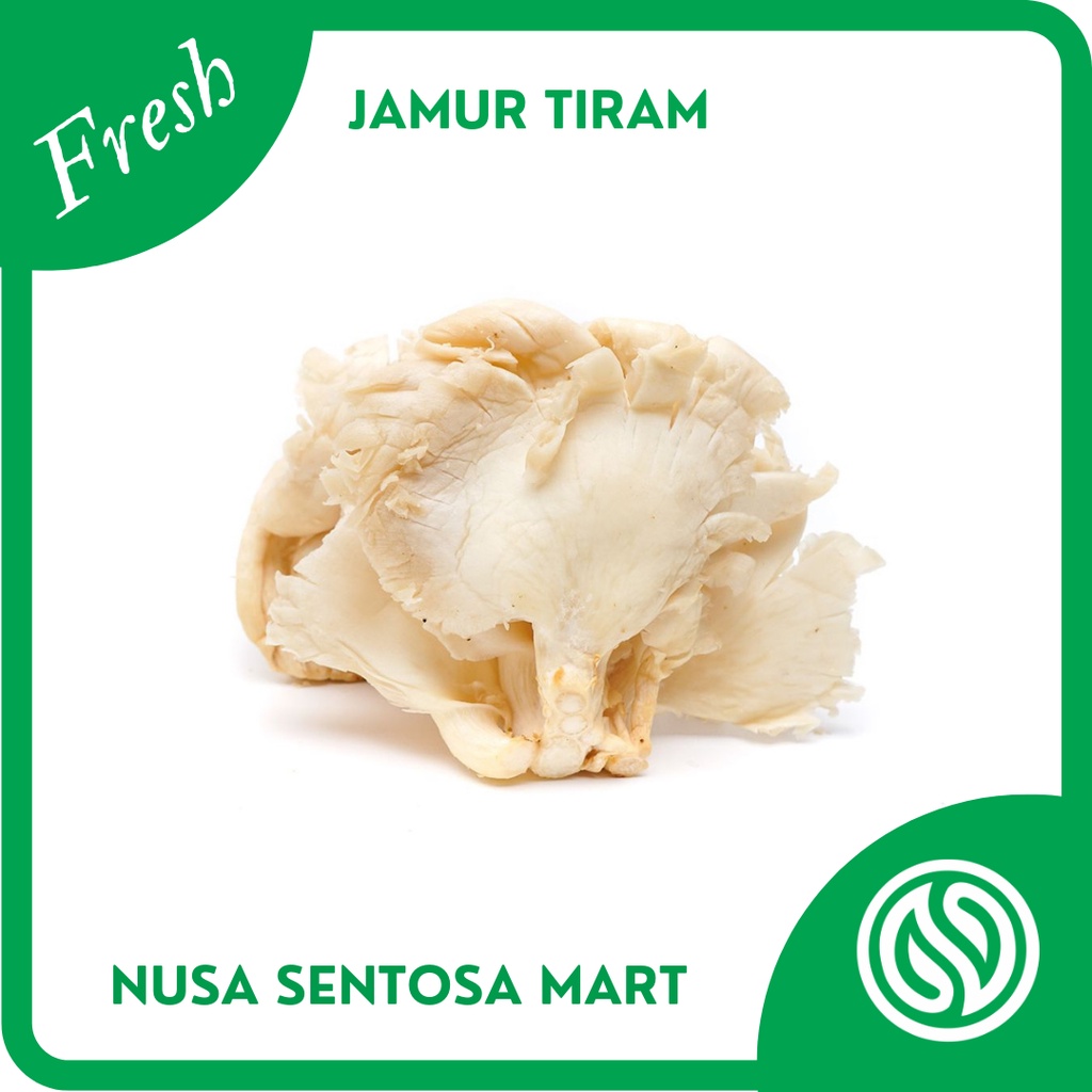 

Jamur Tiram Segar – 250g