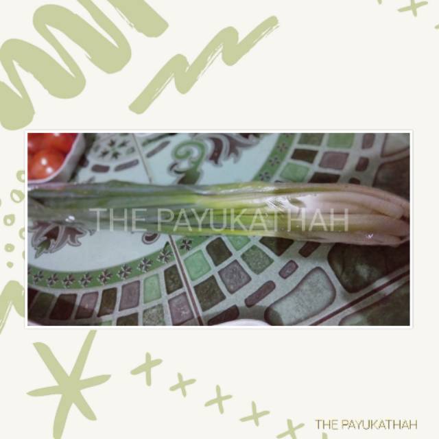 Daun Bawang (1ikat) Shopee Indonesia