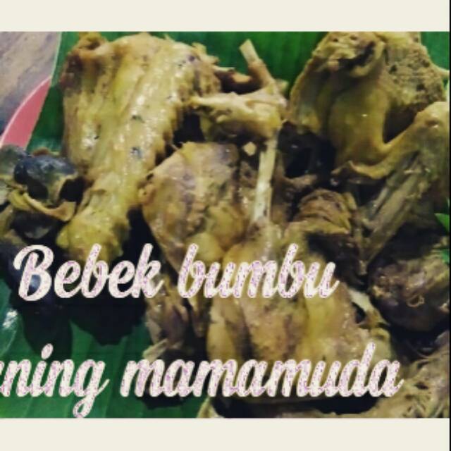 

Bebek bumbu kuning mamamuda