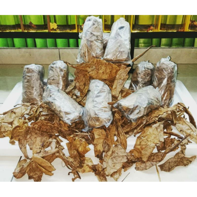 Ketapang Laut/Ketapang Olahan/Daun Ketapang/Ketapang