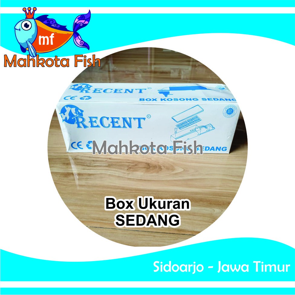 Box Filter SEDANG | Box Kosong SEDANG Filter Aquarium