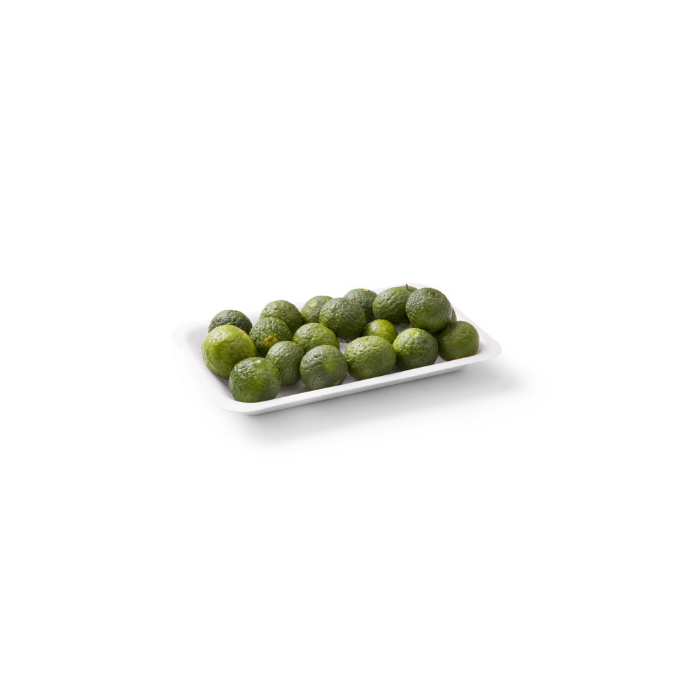 Styrofoam TGP 03 - Tray Foam - Styrofoam Packaging Daging - Styrofoam Ikan - Styrofoam Sayur