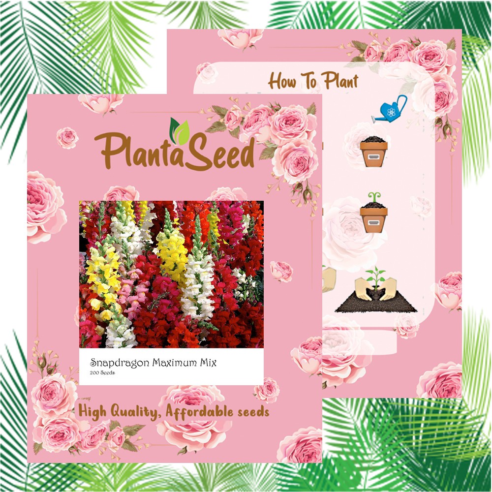 PlantaSeed - 200 Seeds - Snapdragon Maximum Mix Biji Bunga - PAS0233