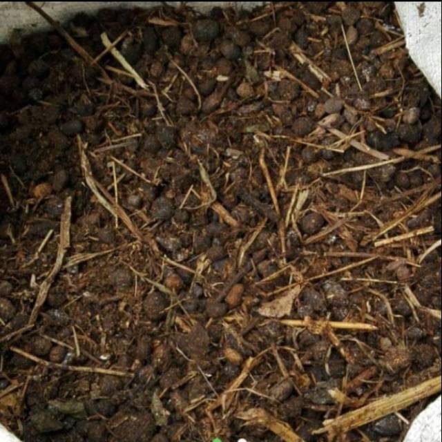 PUPUK KANDANG MURNI PER 500 GRAM ready stock