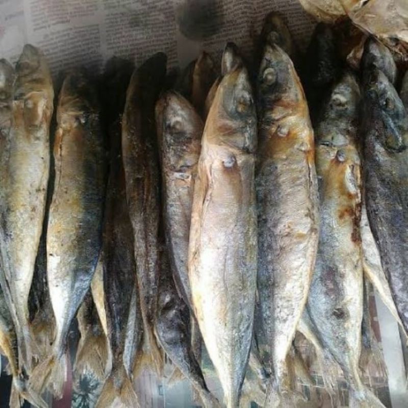 

ikan peda layang