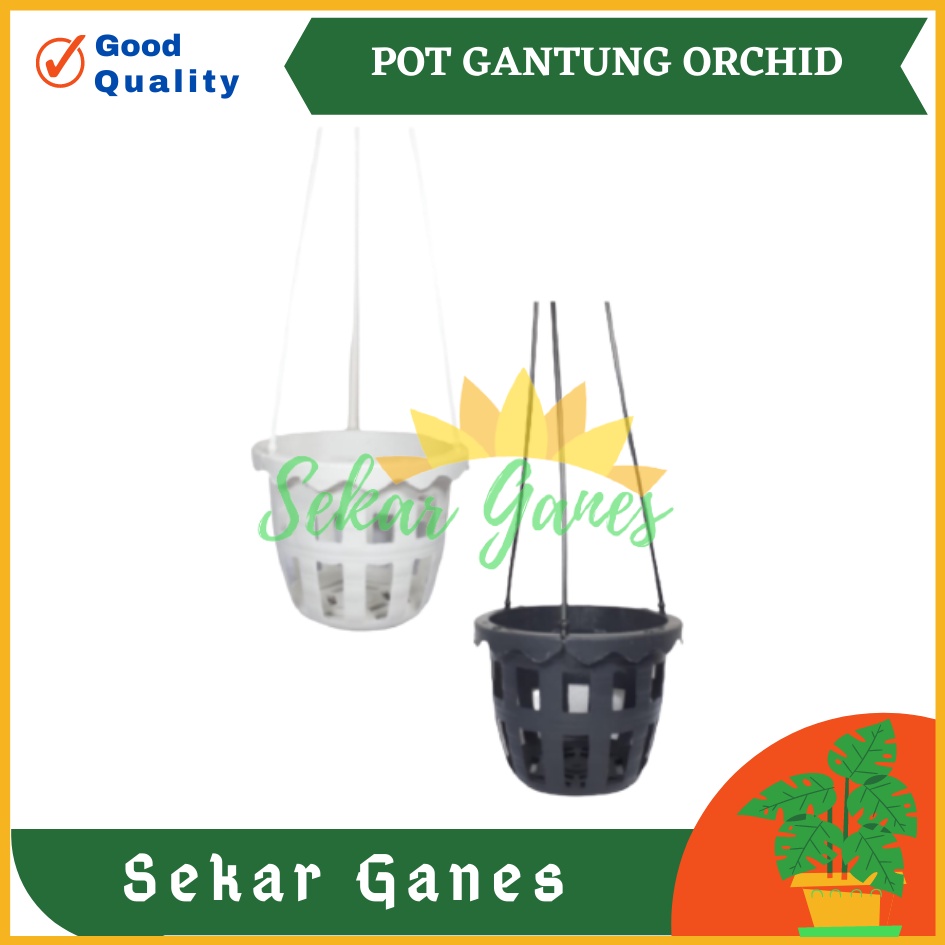 Pot Gantung Anggrek Orchid 10cm Putih Hitam Pot Anggrek Murah Bkn Pot Anggrek Gantung NKT Putih 14