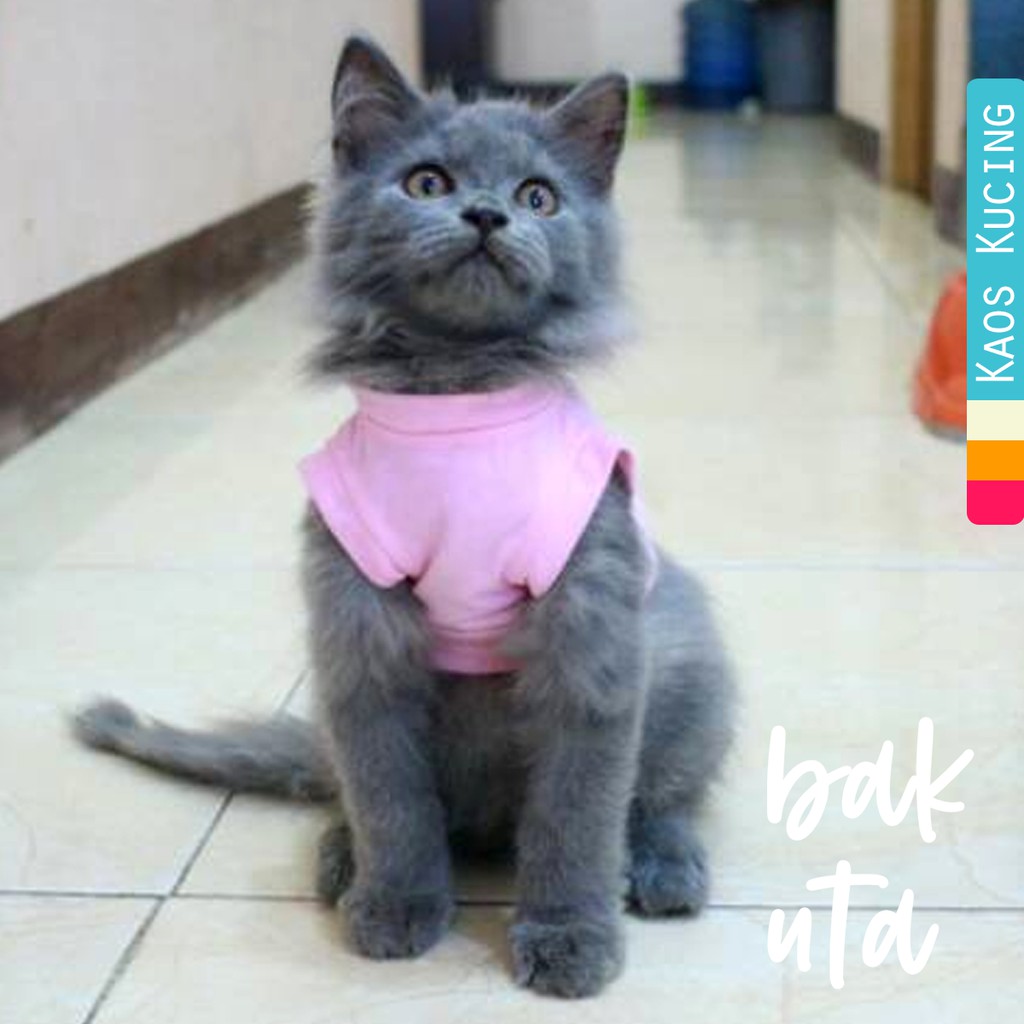 Kaos biasa warna baby pink lucu untuk dirumah / baju kucing anjing lucu size S M L XL / bakuta.id