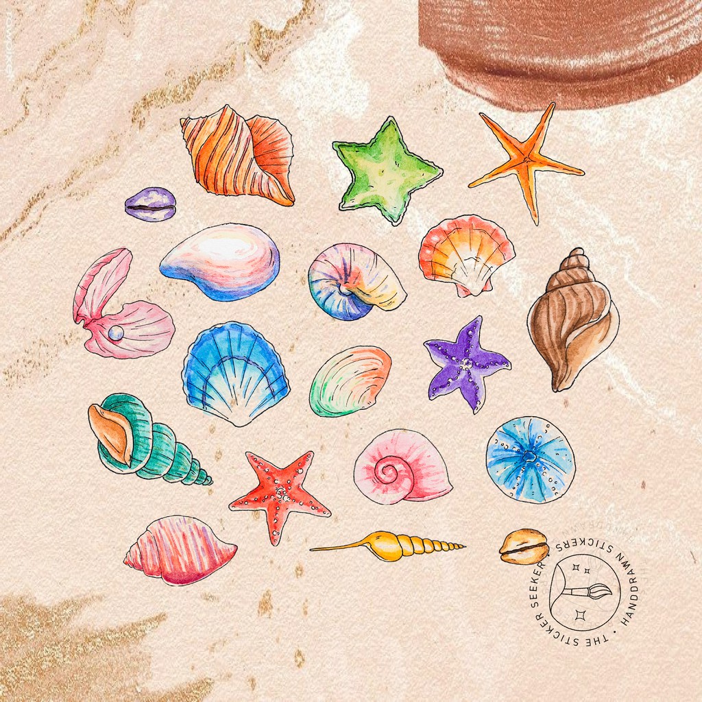 

Seashells and Stars Vinyl Sticker Pack