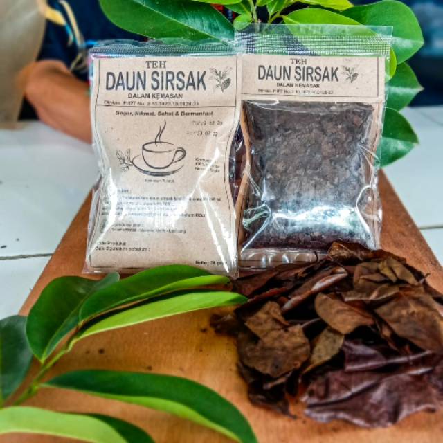 

Teh herbal daun sirsak