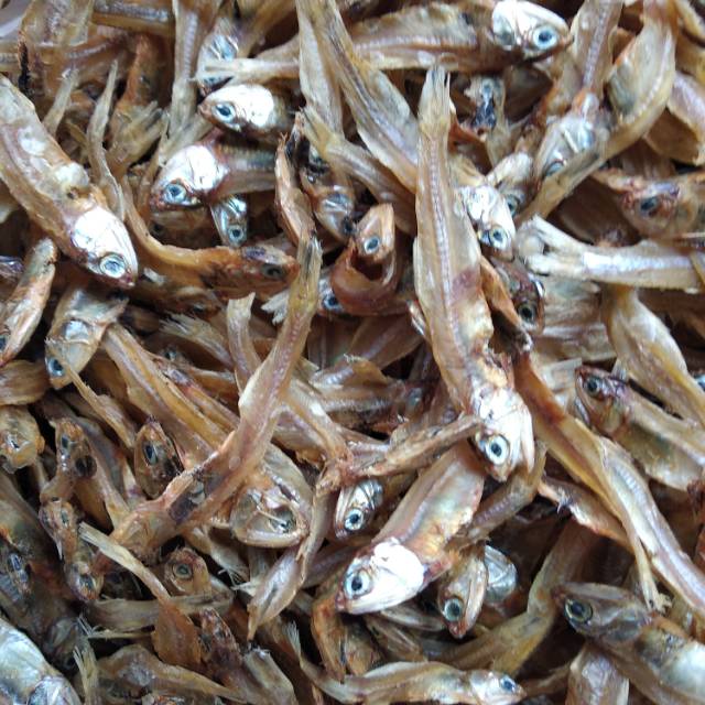 

Teri tawar tulang bawang