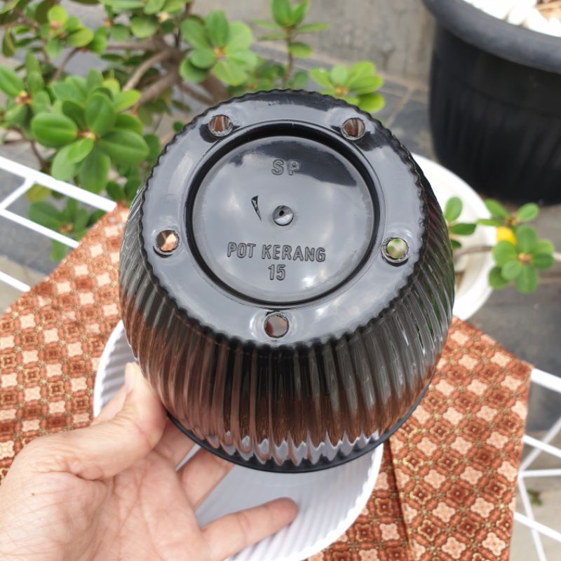 POT KERANG ukuran 15 (13cm) pot bunga pot tanaman cantik murah grosir