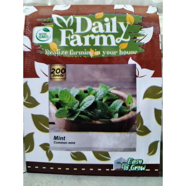 Benih bibit daun mint common mint