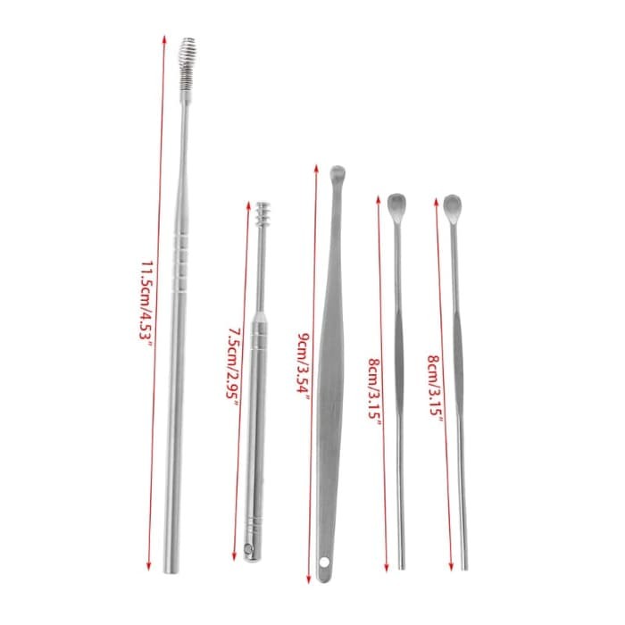 5 pcs Alat Pembersih Telinga Korek Kuping Stainless Steel Ear Wax Set