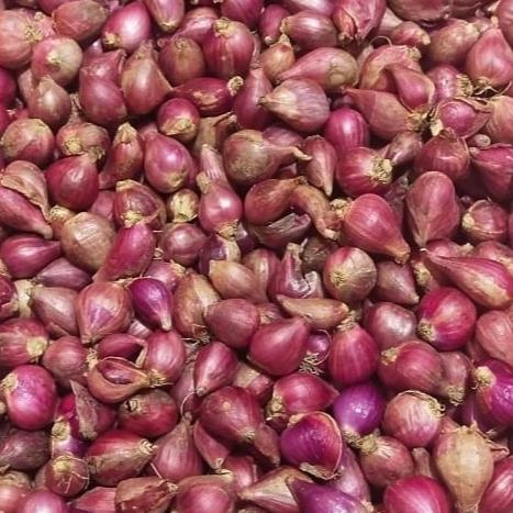 

bawang merah brebes ukuran kecil dan sedang 1 kg