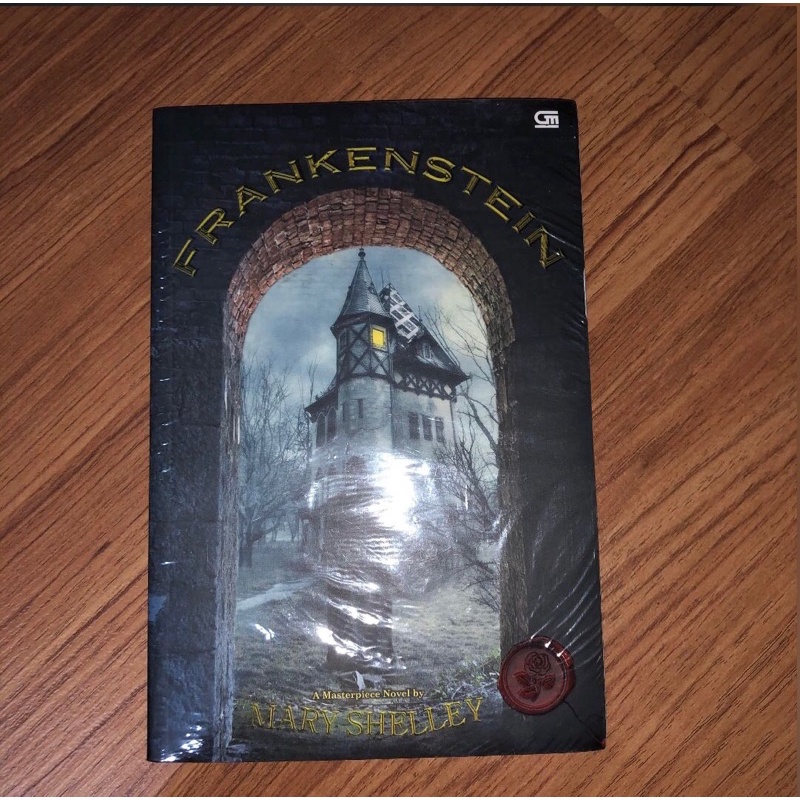 

frankenstein novel