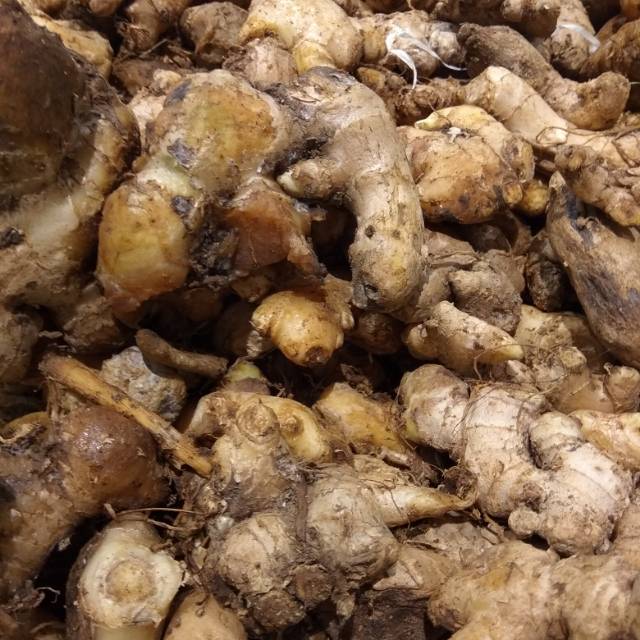 

Jahe Gajah/ Jahe Besar 100gr