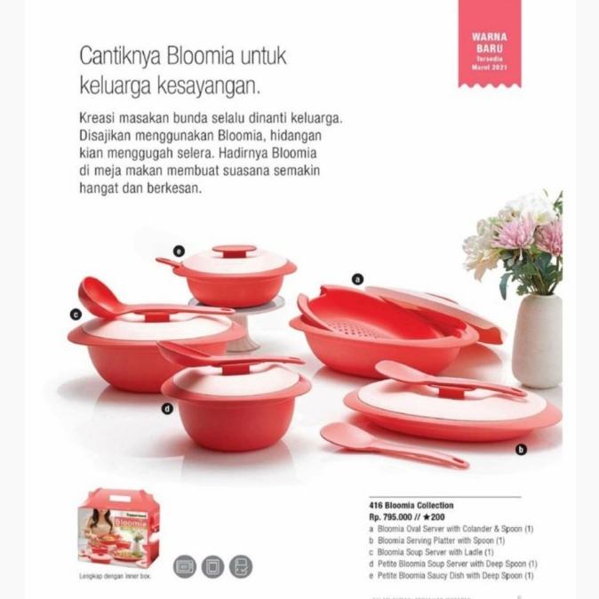 SALE 60% Bloomia regular 1set --Termurah--