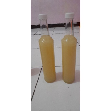 

madu asli sumbawa