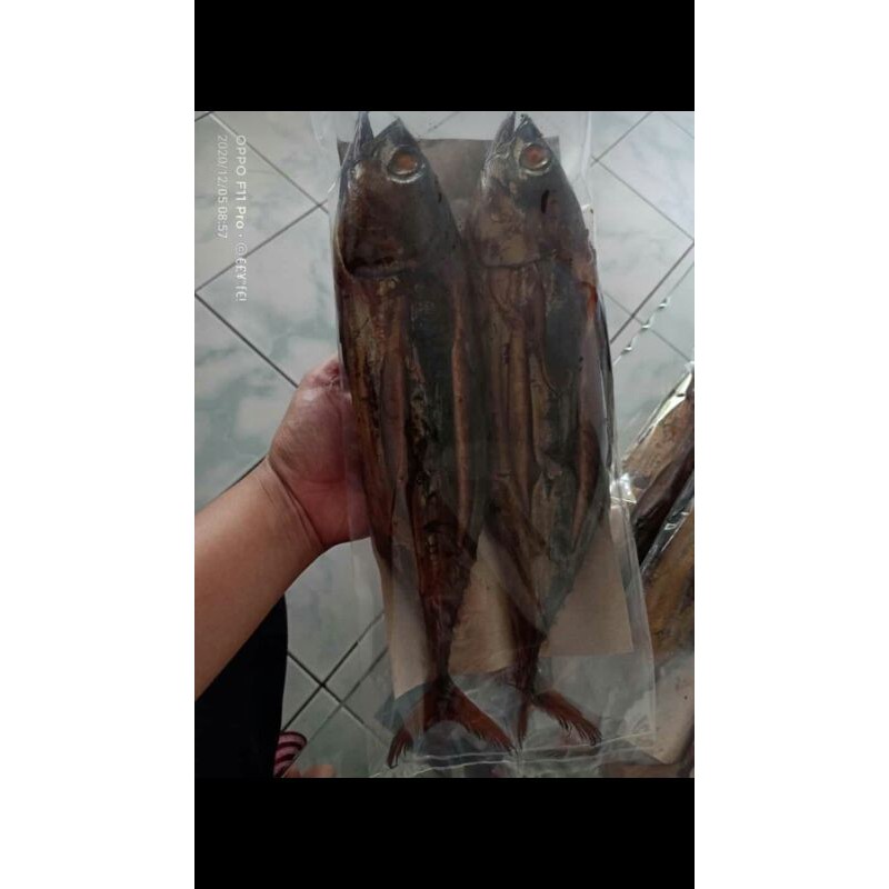 

RECOMENDED.. IKAN ASAP TONGKOL (CAKALANG)