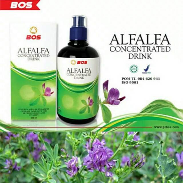 Alfalfa concentrated drink  dan Maca untuk promil