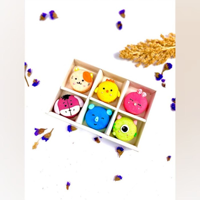

BISA COD MACARON REGULAR GIFT BOX ISI 6